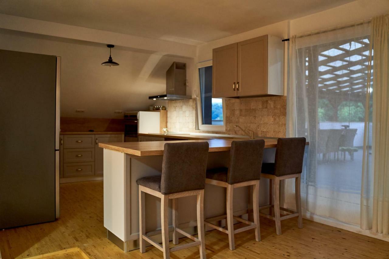 Lavand House Vişeu de Sus Extérieur photo