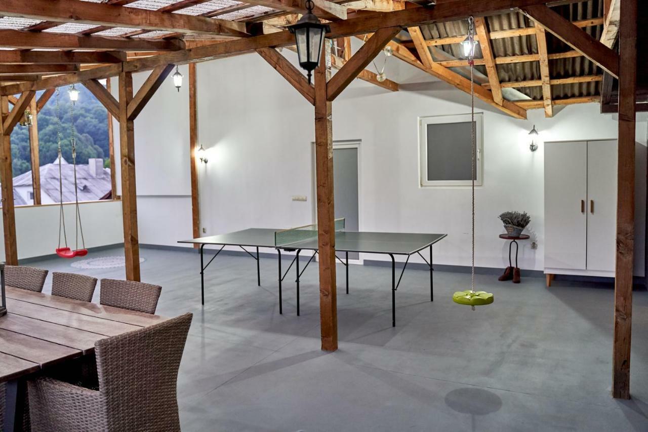 Lavand House Vişeu de Sus Extérieur photo